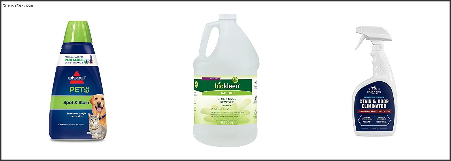 Top 10 Best Diy Carpet Cleaner For Dog Urine [2024] Trendi Tex