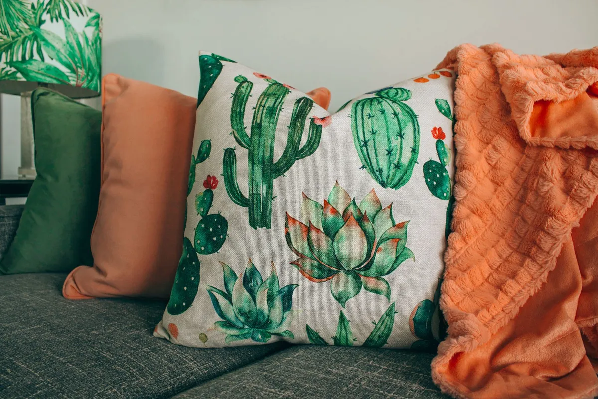 Throw pillows on a sofa