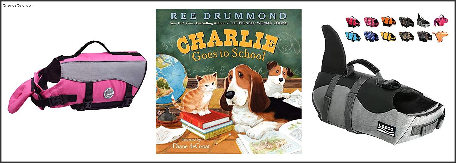 Top 10 Best Life Jacket For Basset Hound [2022] Trendi Tex