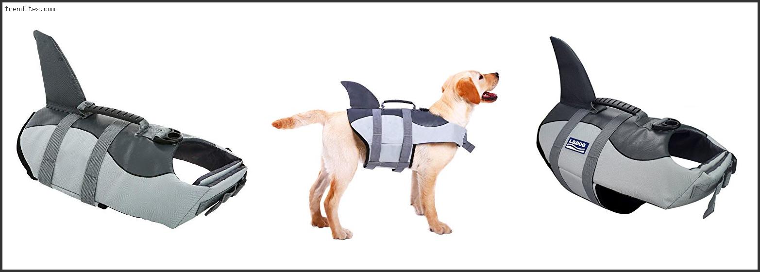 Top 10 Best Life Vest For Bulldogs [2022] Trendi Tex