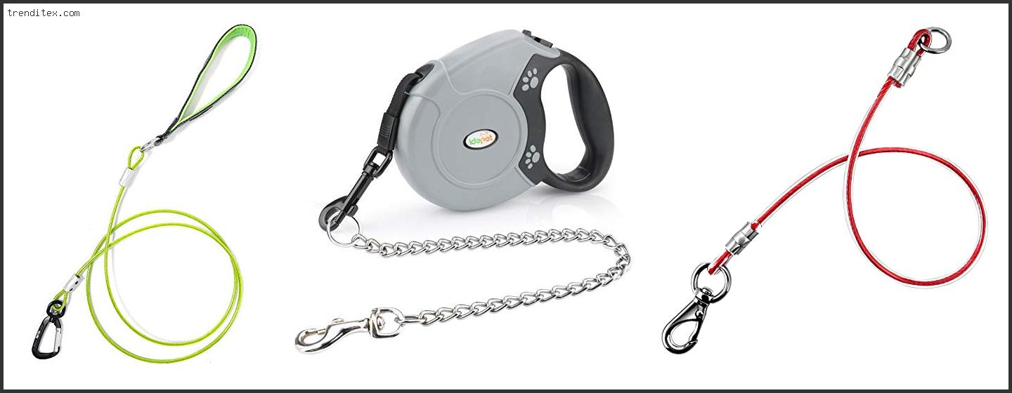 Top 10 Best Chew Proof Retractable Dog Leash [2022] Trendi Tex