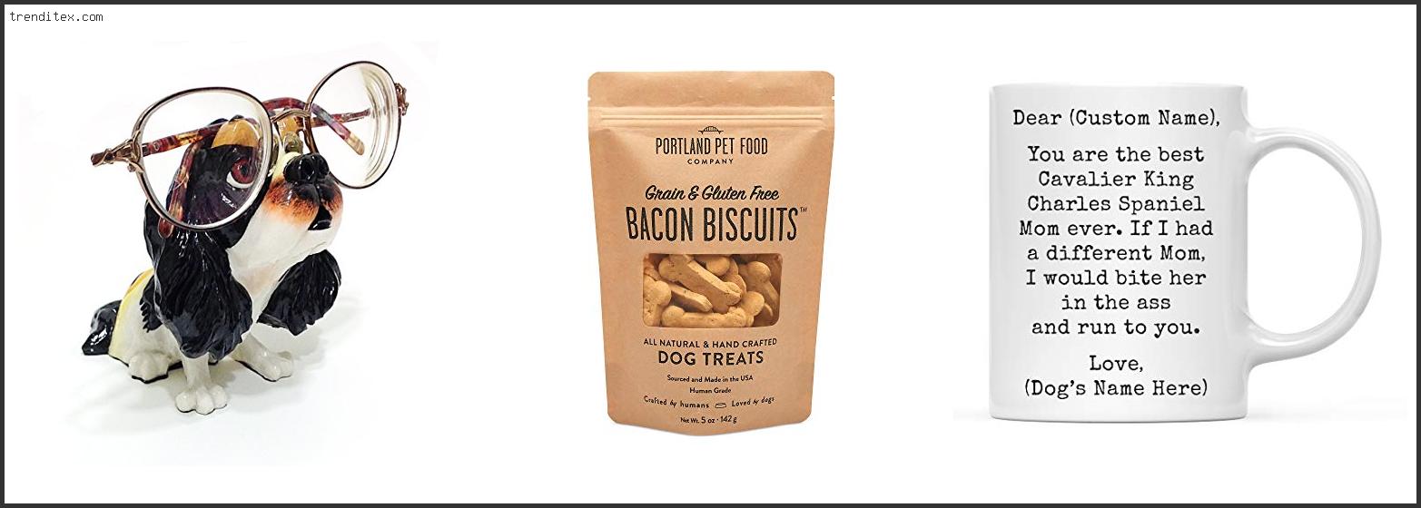 Top 10 Best Muzzle For Cavalier King Charles [2022] Trendi Tex