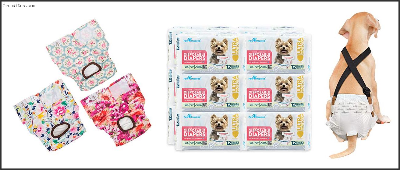 Top 10 Best Diapers For French Bulldogs [2022] Trendi Tex
