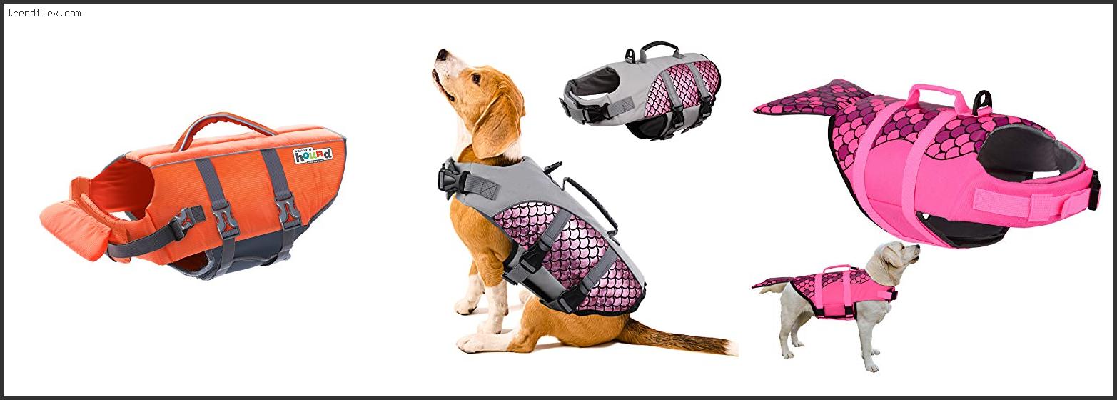 Top 10 Best Life Jacket For Dachshund [2022] Trendi Tex