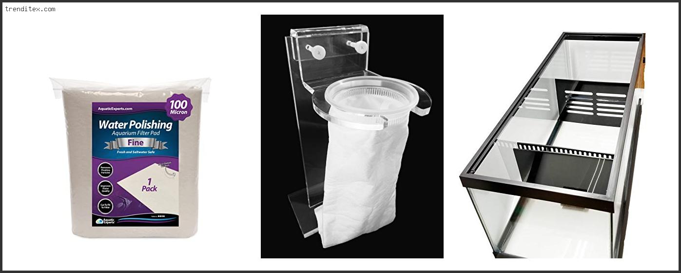 Top 10 Best Diy Aquarium Filter [2022] Trendi Tex