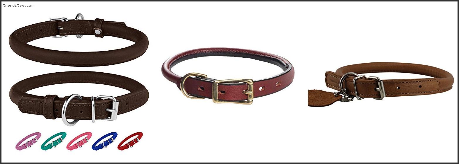 Top 10 Best Rolled Leather Dog Collar [2022] Trendi Tex