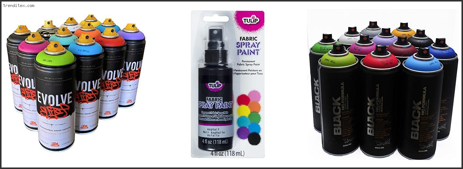 Top 10 Best Spray Paint For Canvas [2022] Trendi Tex